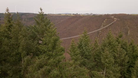 Aerial-footage-revealing-Germany's-longest-suspension-bridge-behind-green-coniferous-trees-in-the-foreground