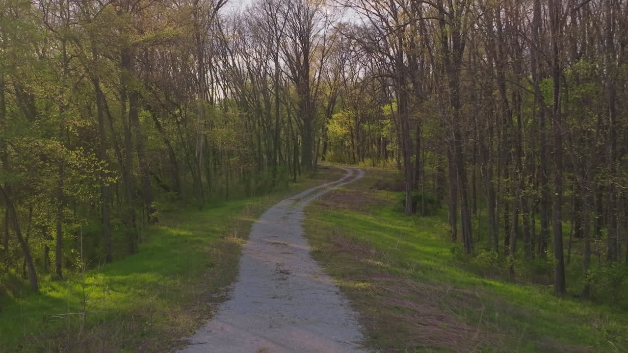 camino de tierra vacío en el bosque con ramas sin hojas cerca del parque lake sequoia en el noroeste de arkansas