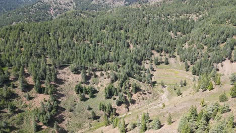 la belleza natural y verde de afganistán