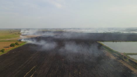 Imágenes-Aéreas-Inversas-De-Tierras-De-Cultivo-Carbonizadas-Con-Humo-Soplado-Hacia-La-Derecha-Mientras-El-Paisaje-Revela,-Quema-De-Pastizales,-Pak-Pli,-Nakhon-Nayok,-Tailandia