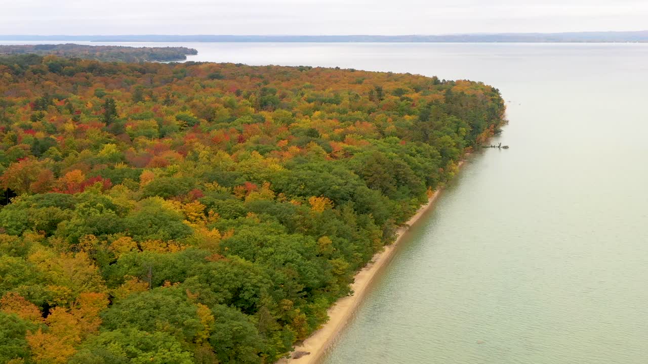 Aerial View of Fall Foliage Along a Lake Coastline