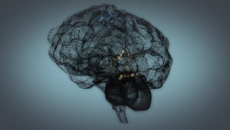 the human brain concept made of small particles. highlighted colorful binary digits representing biochemical processes in the organ. the neurology activity in different parts of the cerebrum.