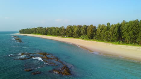 amazing beach with beautiful water and untouched remote nature, beach with pine trees and coral reefs along the shore