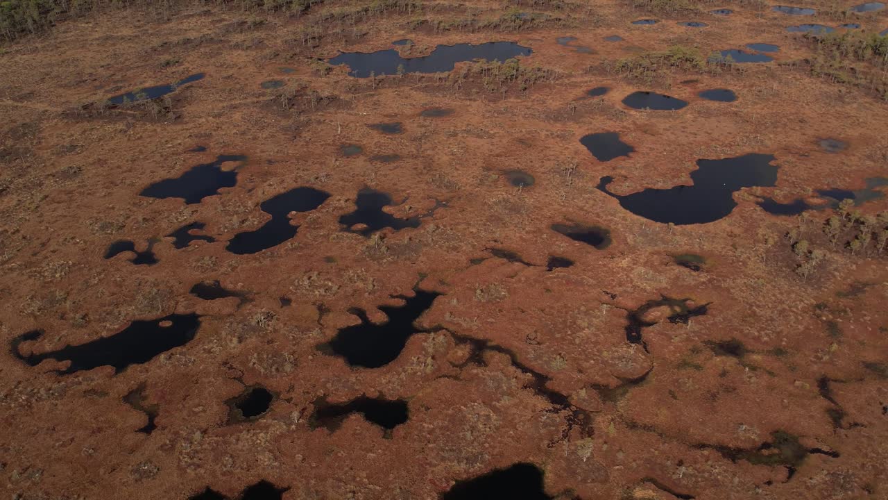 Veduta aerea di una palude con pozze d'acqua sparse, vegetazione secca e macchie di foresta, che mostra un ecosistema di zone umide diversificato sotto un cielo nuvoloso.