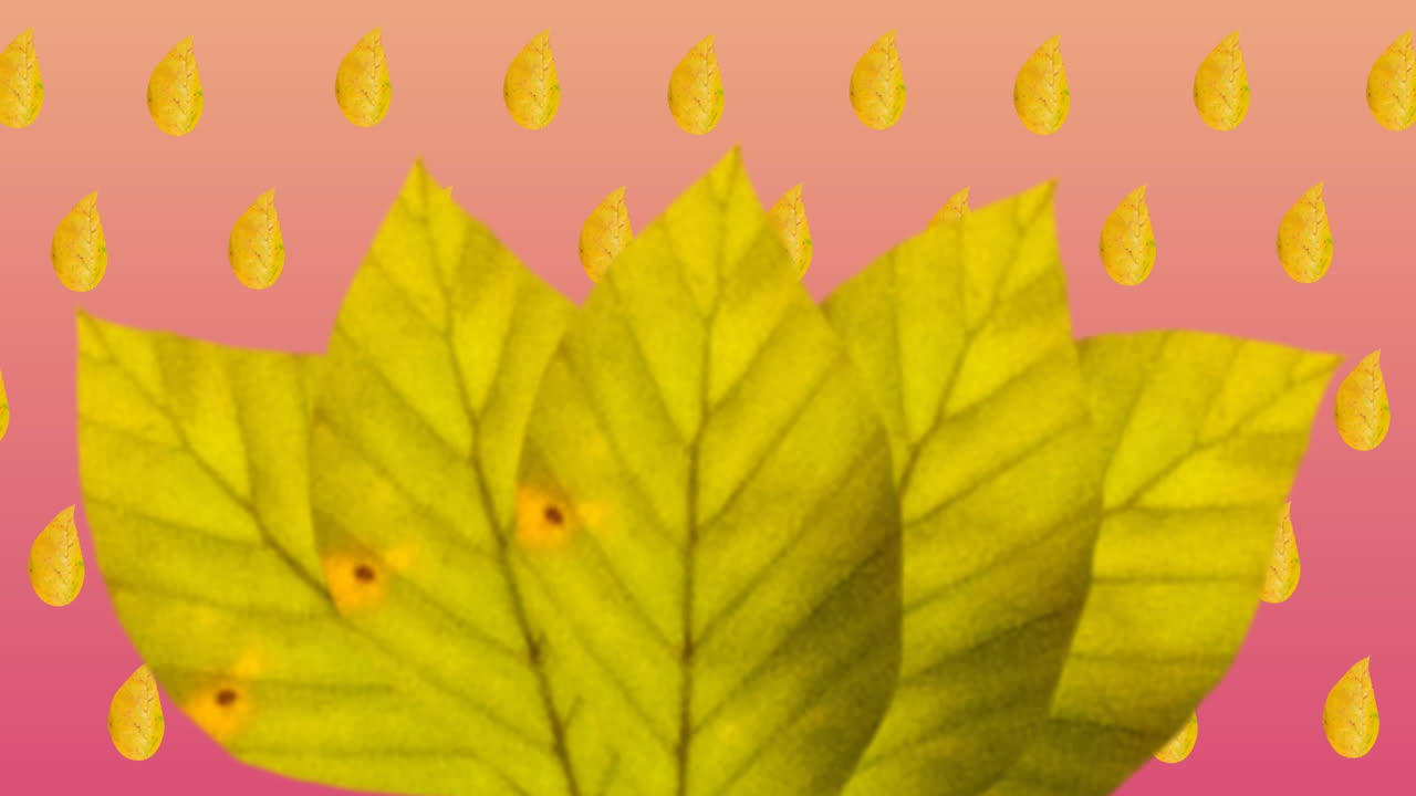 hojas de otoño contra múltiples iconos de hojas de otoño en un patrón sin costuras en un fondo de gradiente rosa