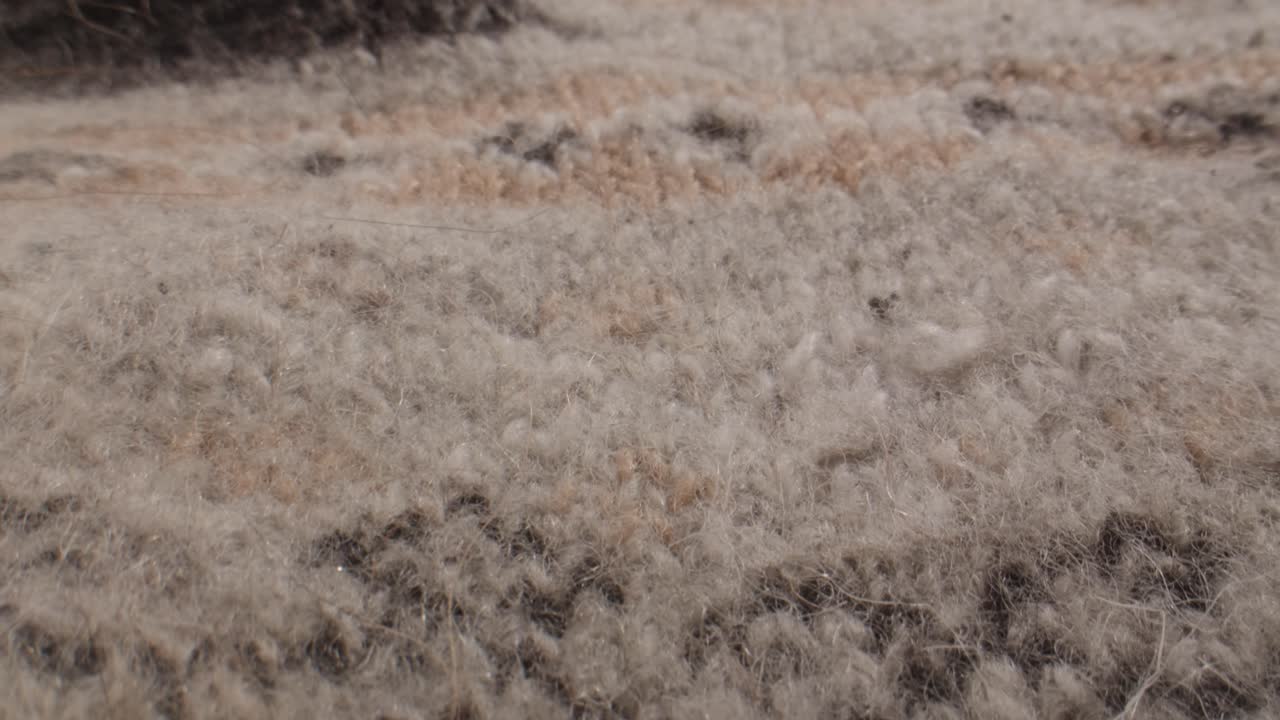 Close-up Macro Shot of Textured Beige and Brown Carpet