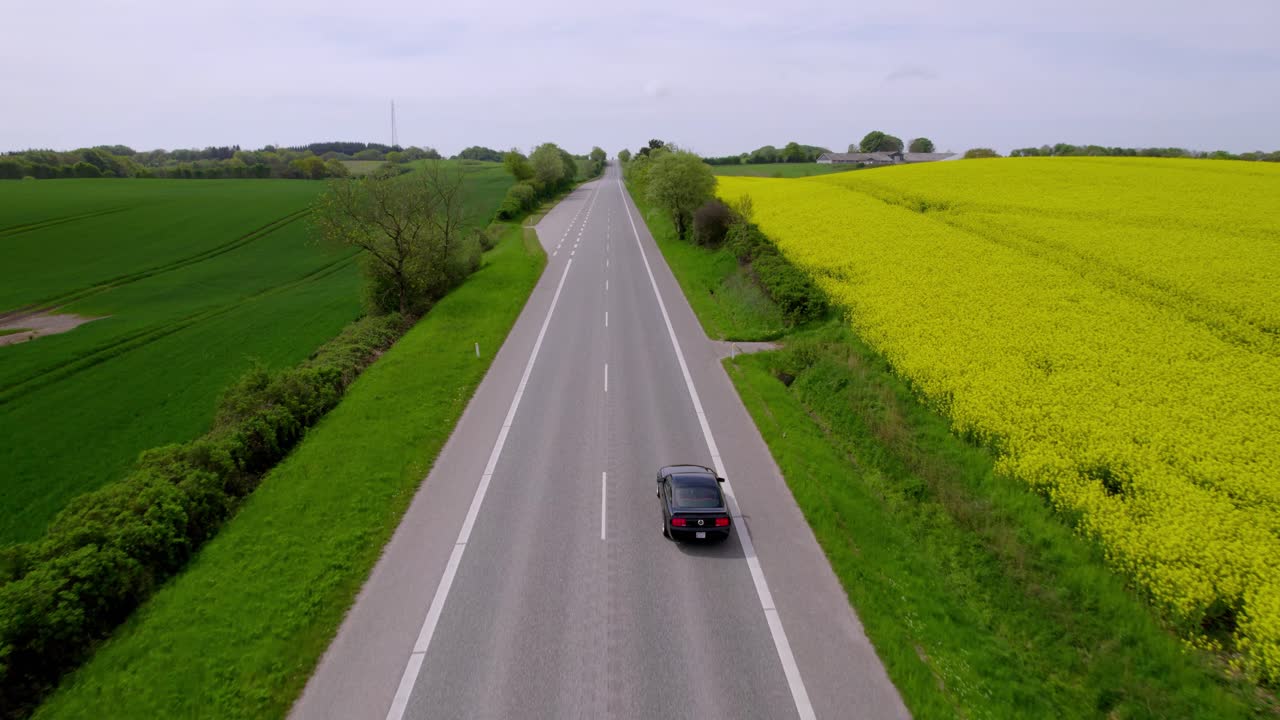 차는 한쪽에는 라스프 이 있고 다른 쪽에는 초록색 이 있는  빈 도로를 따라 운전합니다.