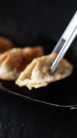 fried gyoza