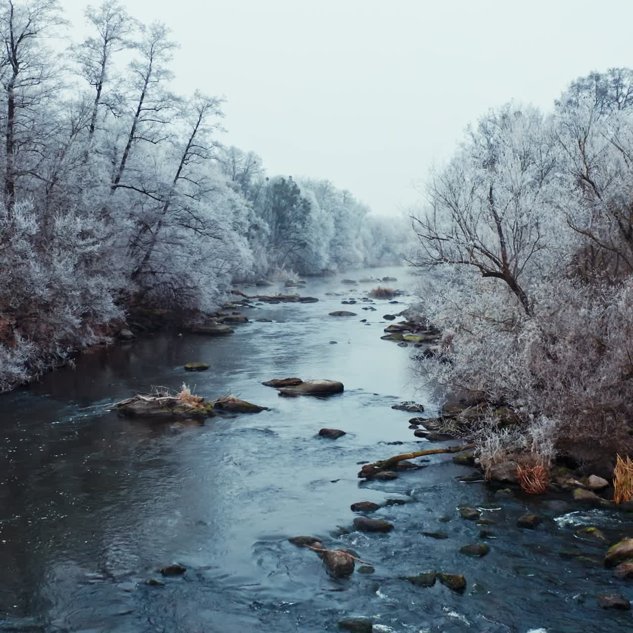 Flying over the narrow river in winter. Trees covered by snow near the river. Many big stones in water on the beautiful snowy nature background.
