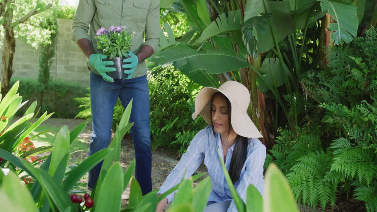 video de una feliz pareja diversa plantando flores en el jardín, sonriendo