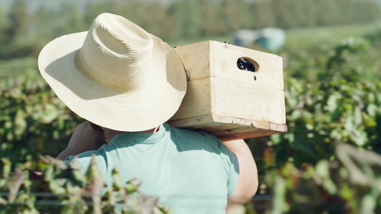 cargando mi legado en mis hombros