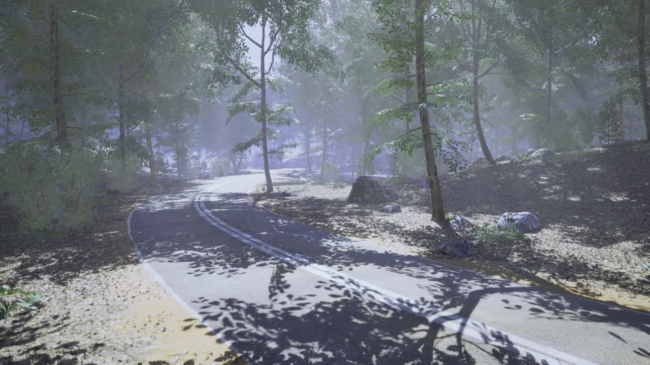 Winding road through a foggy forest with dappled sunlight