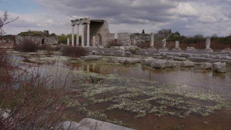 flooded ancient ruins of the ionic stoa in the hellenistic gymnasium in miletus