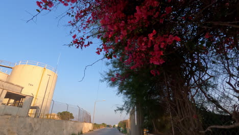 medium dolly forward shot from a street overlooking magnificent trees with red leaves and an industrial plant on the other side of the road to illustrate global warming on malta