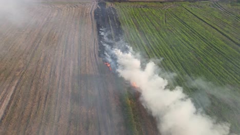 Imágenes-Aéreas-Constantes-Mientras-El-Humo-Se-Eleva-De-Una-Hierba-En-Llamas-En-Una-Tierra-De-Cultivo-En-Pak-Pli,-Nakhon-Nayok,-Tailandia