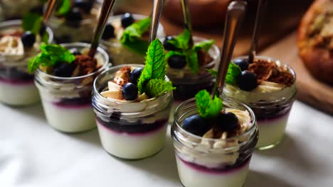 Yogurt-mousse-with-blueberry-sauce-and-green-peppermint-leaf-on-top