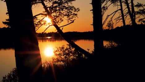 golden sunset by the lake