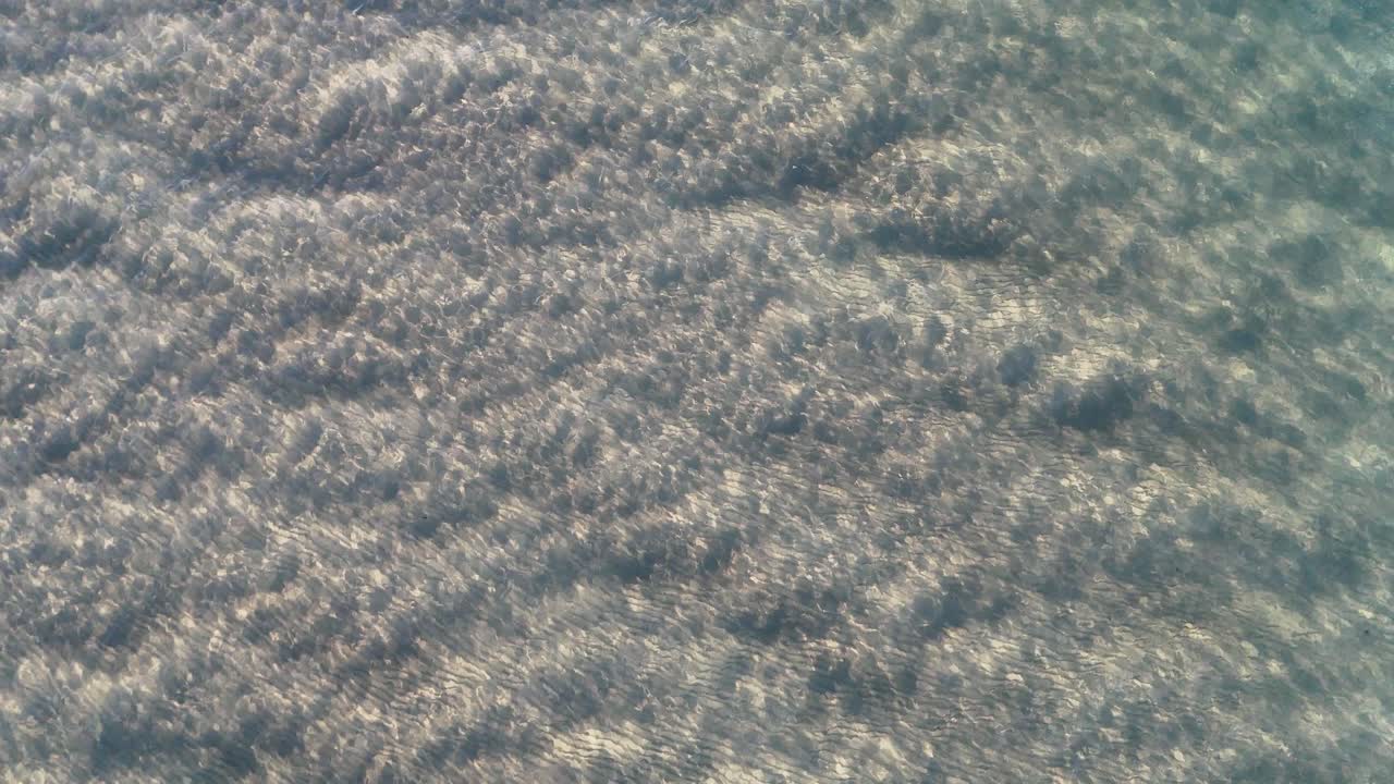 Overhead shot of textured ocean surface, soft natural lighting, subtle wave movement, tranquil atmosphere