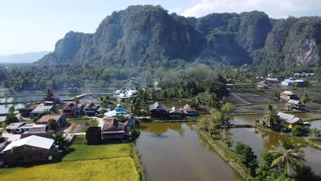 green and beautiful mountains indonesia