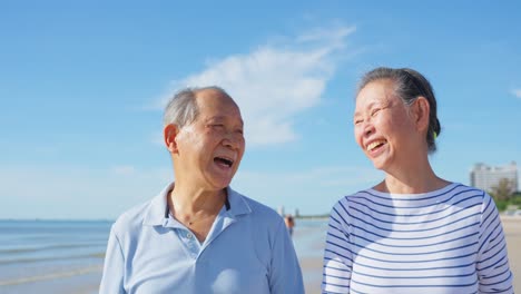 happy senior couple enjoying a walk on the beach