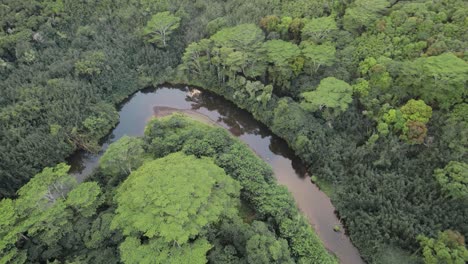 有名的威魯亞河 (wailua river) 的戲劇性空中影像