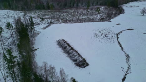 Amplia-Toma-De-Drones-De-árboles-Talados-Para-Obtener-Madera,-Alineados-Para-Secarse,-Cubiertos-De-Nieve