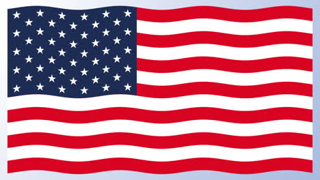 united states of america flag