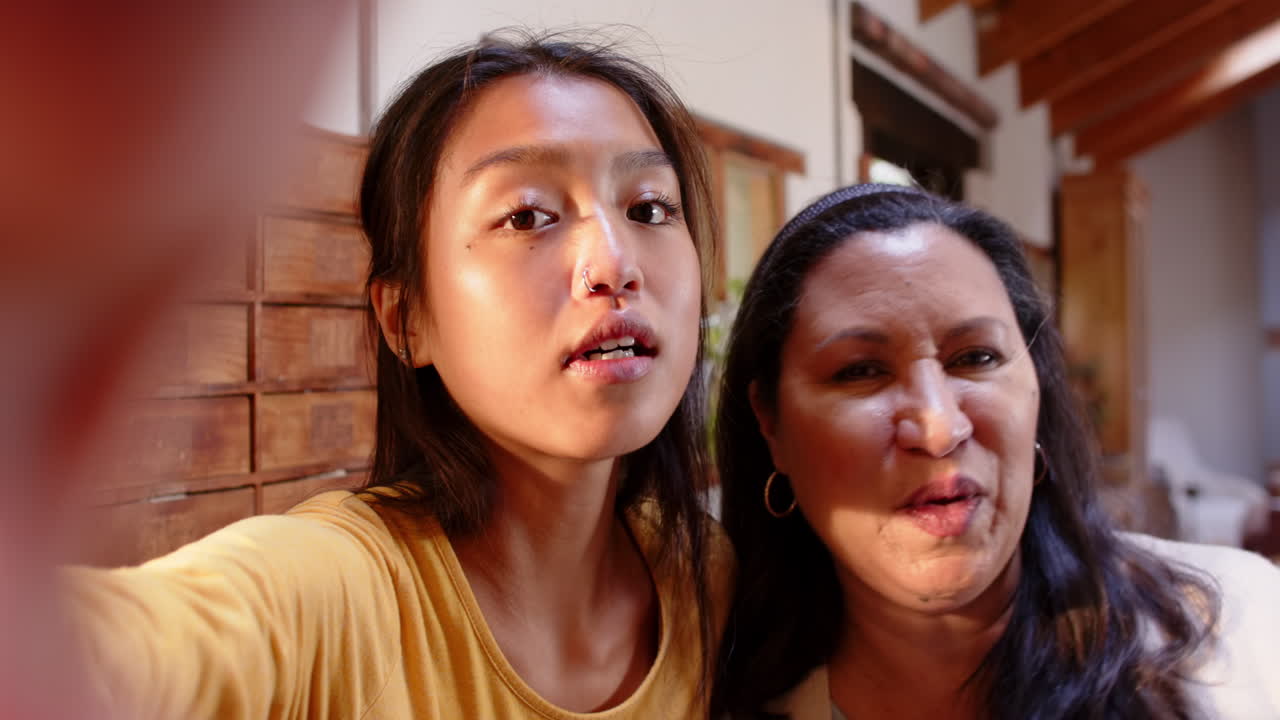 On video call, multiracial young woman and grandmother smiling together at home during