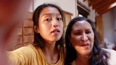 on video call, multiracial young woman and grandmother smiling together at home during