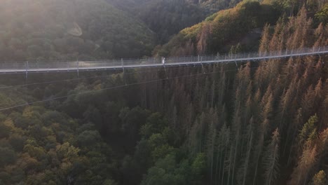 drone footage of girl in white dress walking over suspension bridge in germany, no color grading, flat video profile