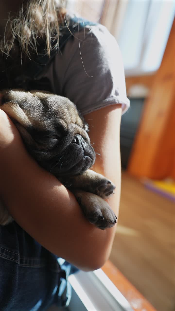 una chica sosteniendo un cachorro pug dormido