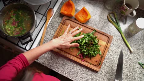 housewife cutting spinach and place on pot over stove