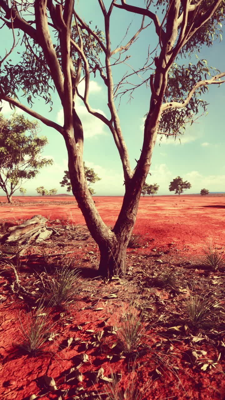 paisaje desértico de arena roja