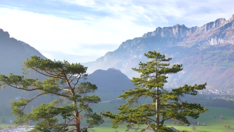 Zwei-Grüne-Bäume-Vor-Einem-Großen-Tal-Und-Bergen-In-Der-Schweiz