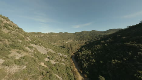 High-frame-rate-aerial-skims-over-arid-valley-to-Spanish-olive-grove