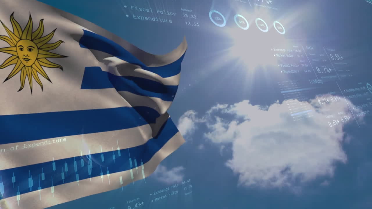 우루과이의 발 위에서 금융 데이터 처리의 애니메이션