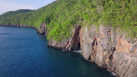 drone view of el valle beach, samana, dominican republic