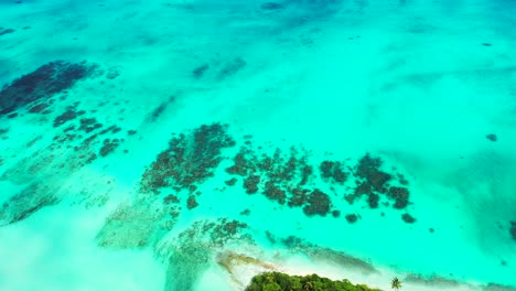 Beautiful-seabed-with-coral-reefs-over-white-sand-of-seabed-under-calm-clear-water-turquoise-lagoon-around-cape-of-tropical-island-in-Bora-bora