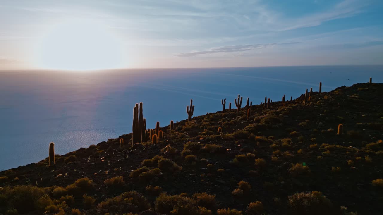 Marvel at Bolivia's natural wonders with breathtaking drone footage featuring Isla Incahuasi, Salar de Uyuni's salt flats, and unique cacti from above.