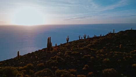 marvel at bolivia's natural wonders with breathtaking drone footage featuring isla incahuasi, salar de uyuni's salt flats, and unique cacti from above.