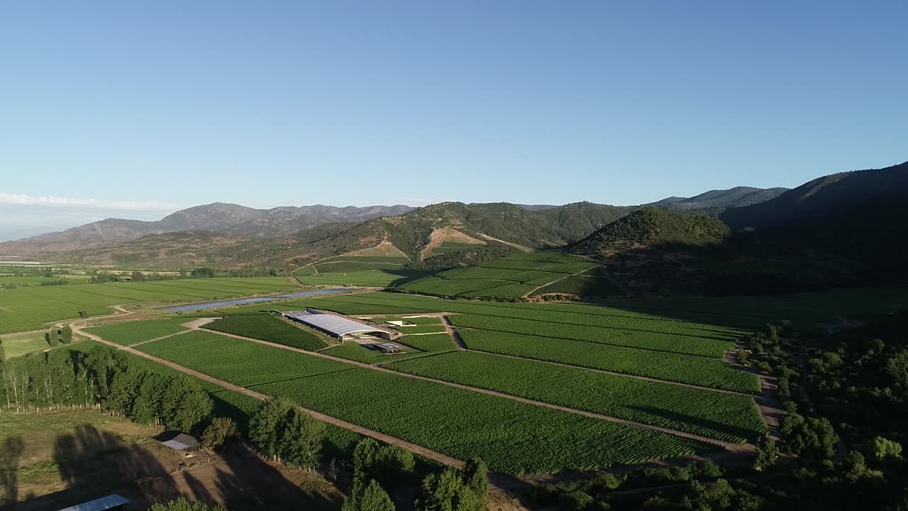 Chilean vineyard and tranque aerial view footages