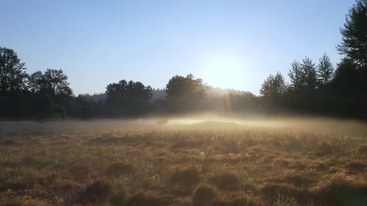 Dronekuvaa sumuisesta aamunkoitosta.