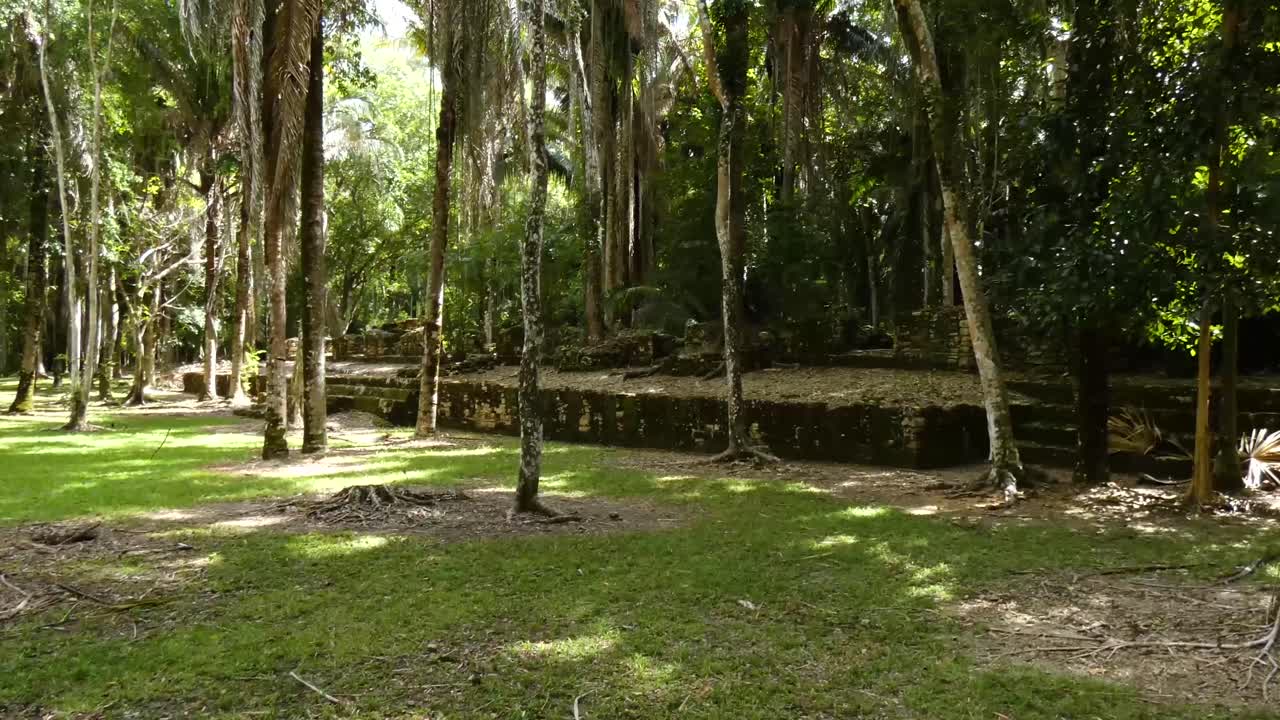 árboles que crecen en y alrededor del edificio de las once puertas en el sitio maya de kohunlich - quintana roo, méxico
