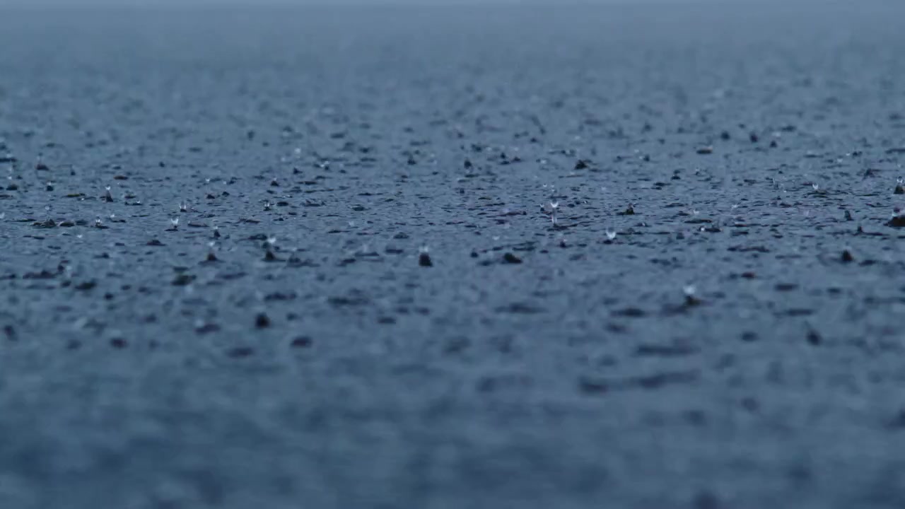 Raindrops fall on wet asphalt. Surface reflects dim light. Mood feels calm and moody. Perfect for weather or urban scenes. Great for cinematic or atmospheric projects