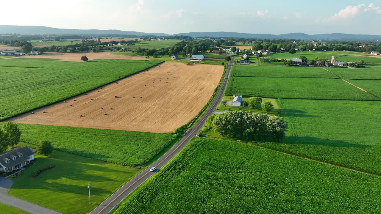 여름 동안의 농촌 미국