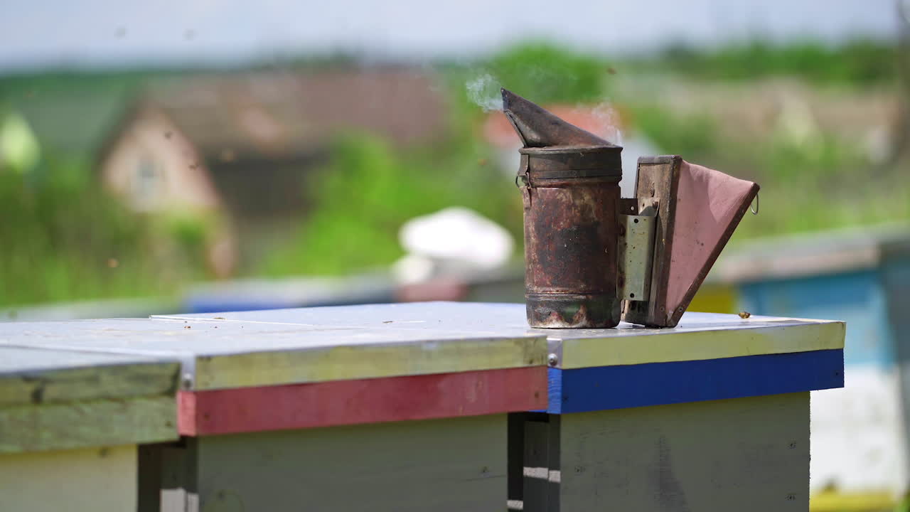 Smoker stands on a beehive. Bee chimney on background of beehives. Apiculture concept. Honey and bees. Foundations of tools for hive.