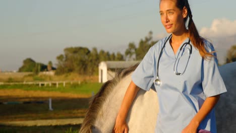 veterinarian doctor standing with horse 4k