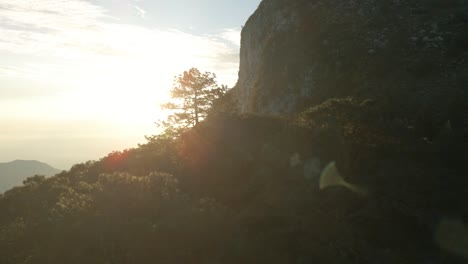 Fly-above-the-forest-next-to-mountain-cliff-and-view-of-the-suns-rays-from-the-mountain