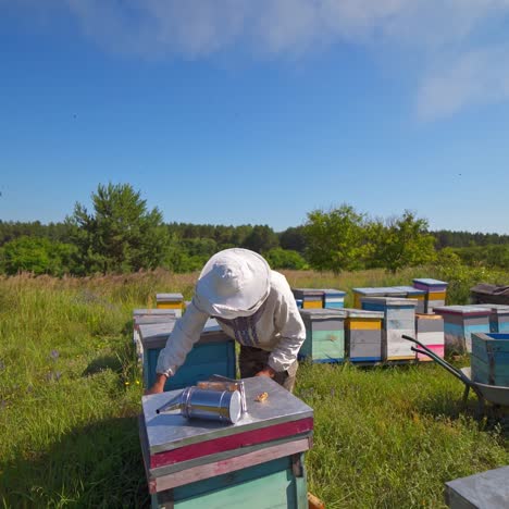 beekeeper on a farm. portrait of an apiarist with frame full of bees. farmer showing frame with honeycomb on the apiary in summer.