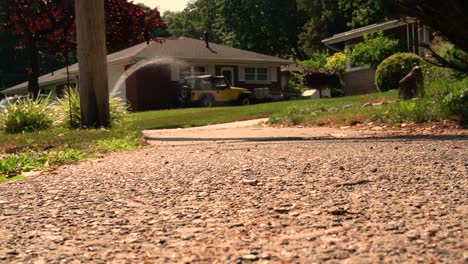 a lush suburban summer yard is shown from the ground